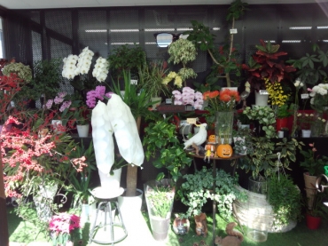 「榎本生花」　（東京都荒川区）の花屋店舗写真1